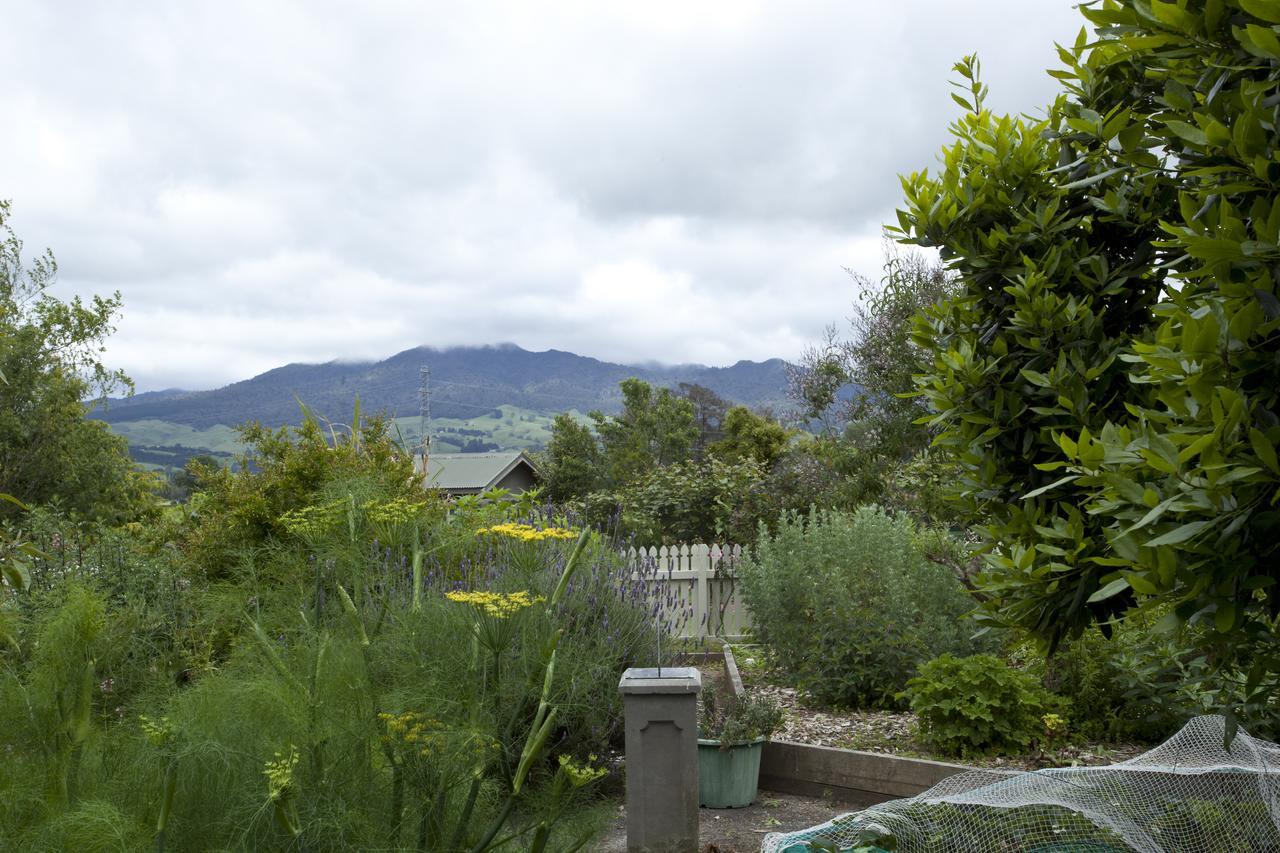 Highgate Bed And Breakfast & Garden Pirongia Esterno foto