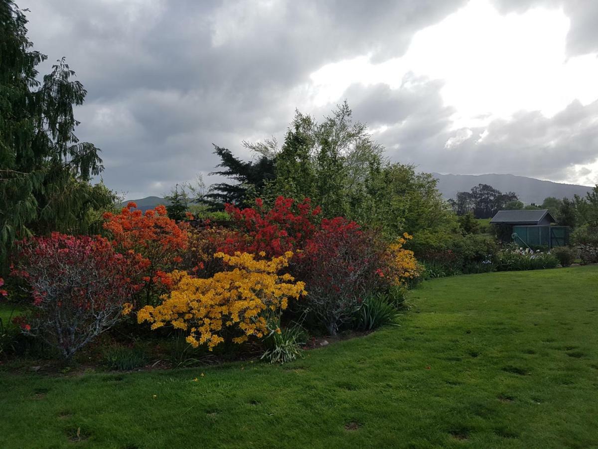 Highgate Bed And Breakfast & Garden Pirongia Esterno foto