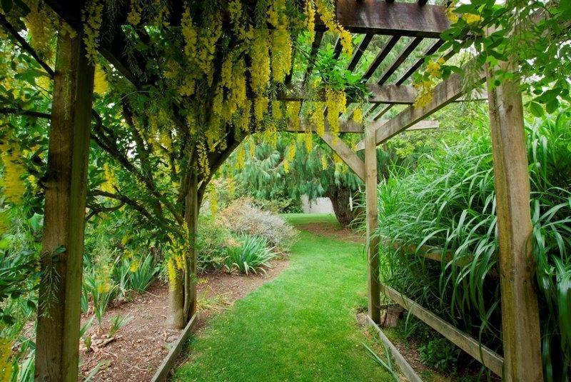 Highgate Bed And Breakfast & Garden Pirongia Esterno foto